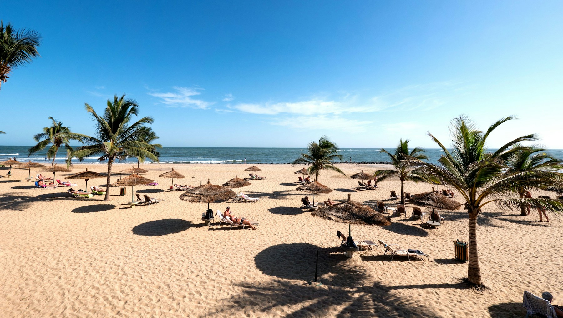 Palm trees and golden sand beside the Atlantic at Cape Point Beach, The Gambia